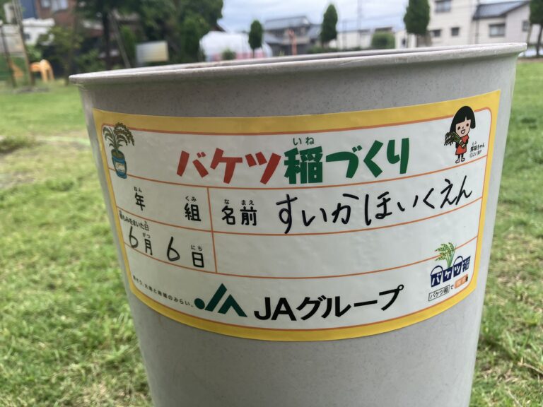 お米はどうやってできるのかな🌾