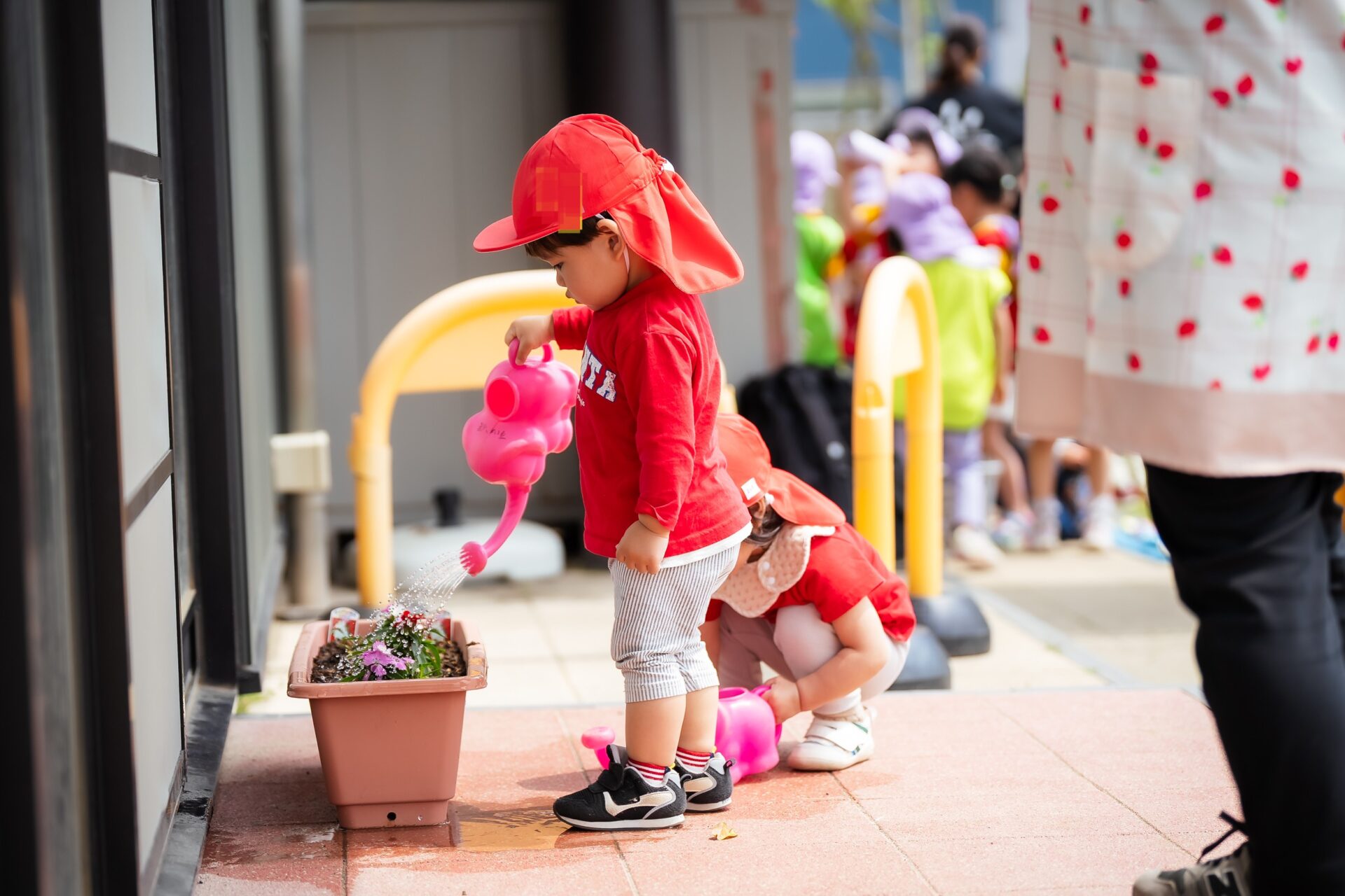 おもしろいことなんでもくじら級