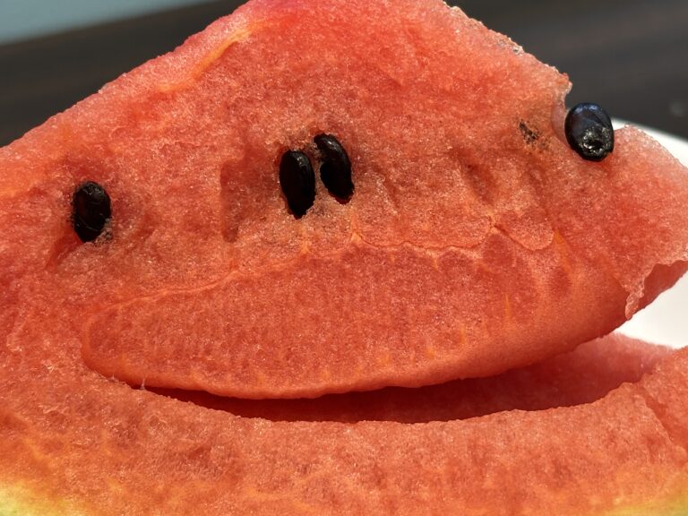 今日の果物なーんだ❓(1歳児うみ組)