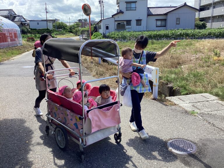 夏の風を感じて・・・🌱（すいか組０歳児）