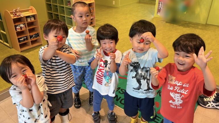 ミニトマトのその後、、、（３歳児ゆき組）