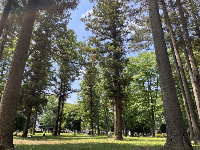 街中で自然と調和した”赤塚公園”（園長のフィールドワーク）