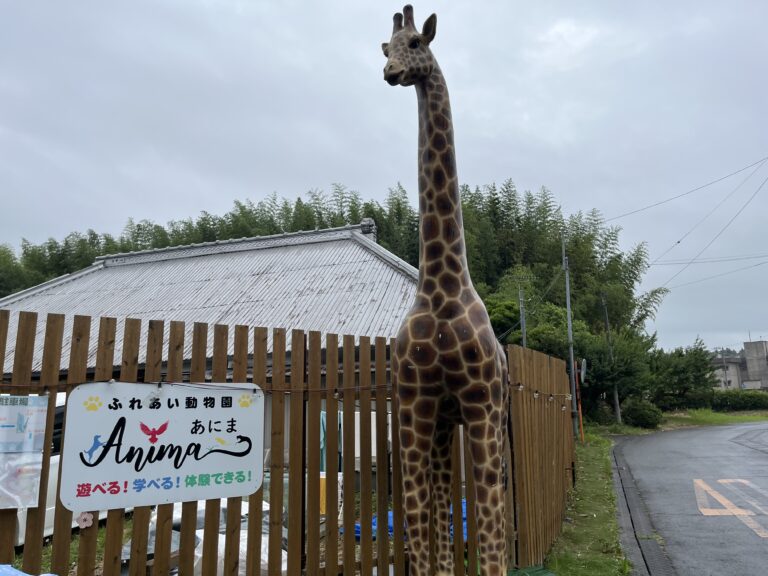 森の中に動物園！？　ANIMAでふれあい（園長のフィールドワーク）