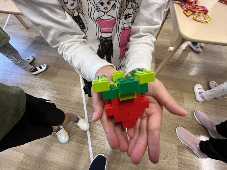 畑の夏野菜たちの成長記録