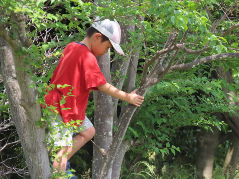 今日はピクニック!