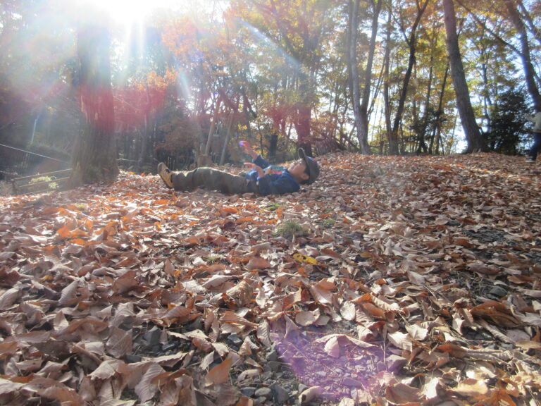 台原森林公園散策