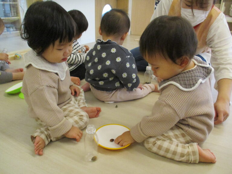 どんぐりマラカス♪