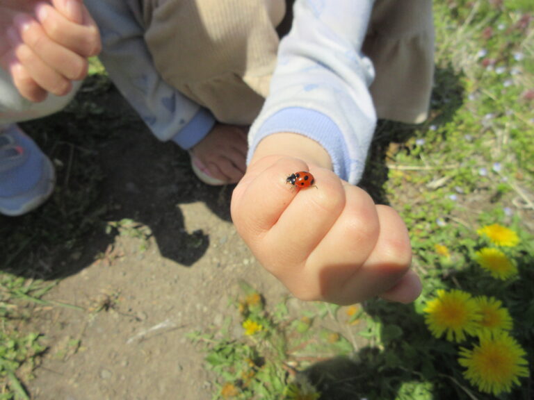 今年も始まります！