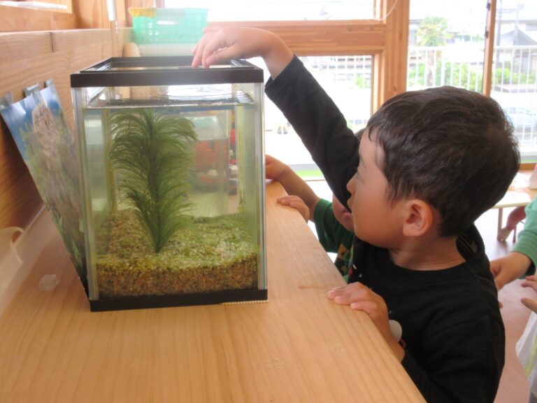 なにか、くっついている！