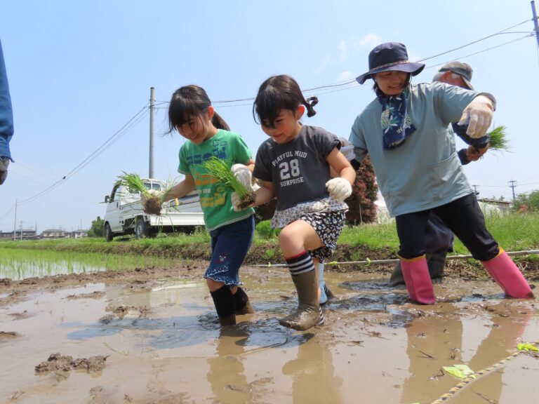 田んぼ活動～田植え～