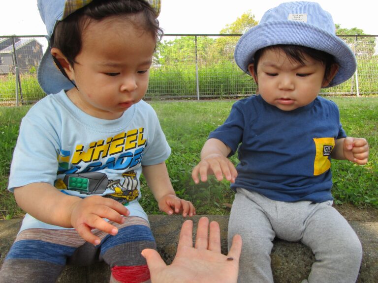 だいすき！だんごむし