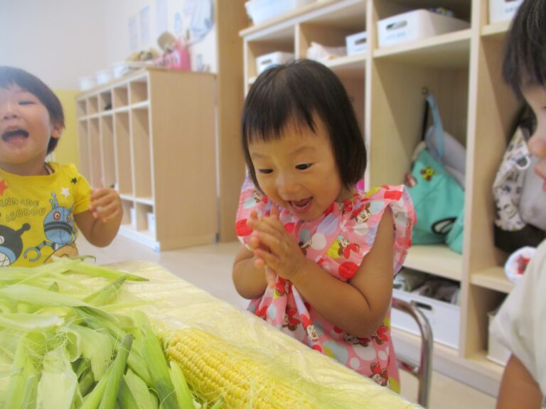 収穫！とうもろこし！