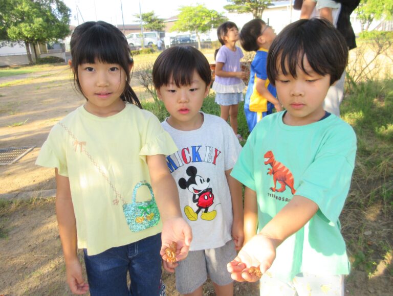 くじらキャンプの朝