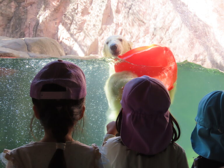 八木山動物公園に行こう！