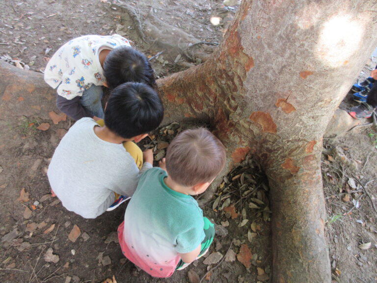 見て、真似して、やってみる！