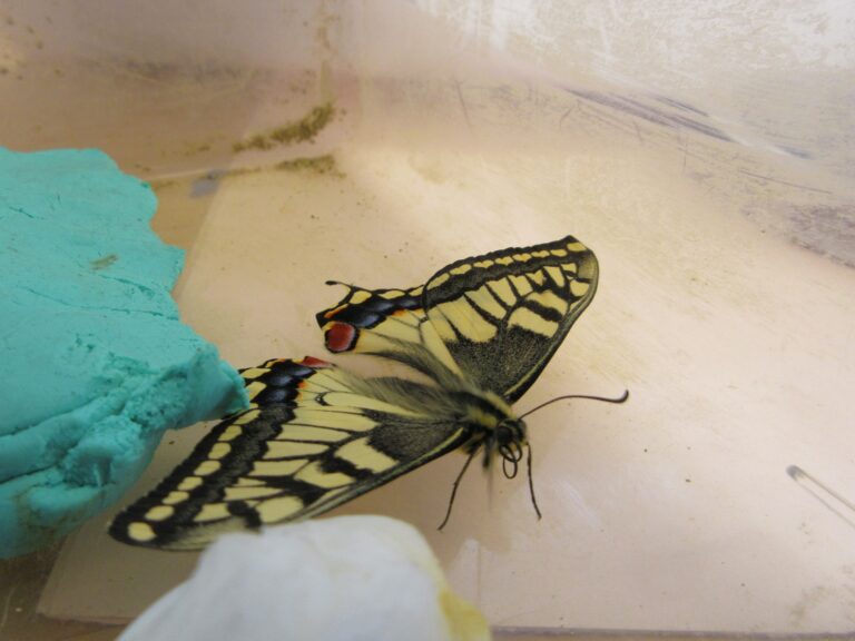 季節は冬ですが…