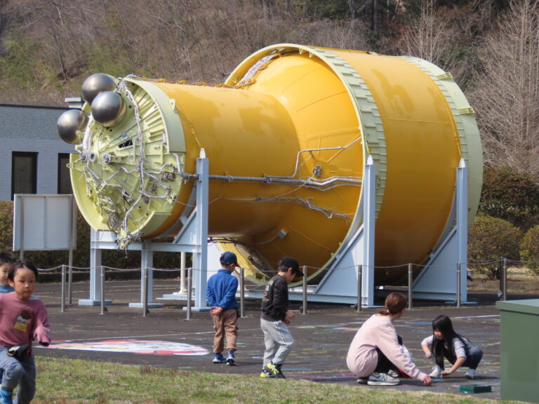 くじら、エンジョイ‼