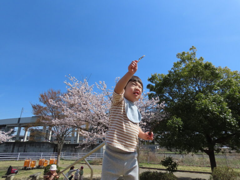 だいちとあめのお花見散歩