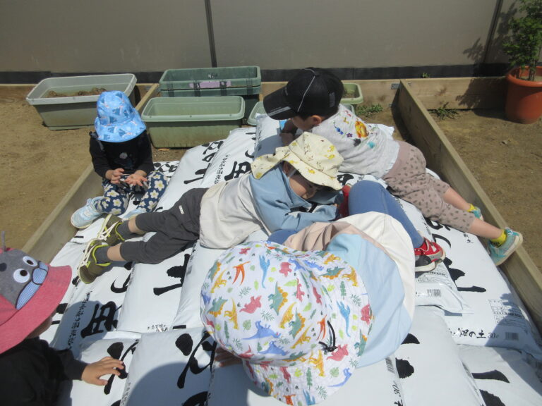 いちごアイスが食べたいな♪