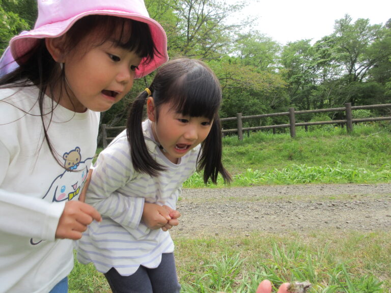 お山に行きたい!