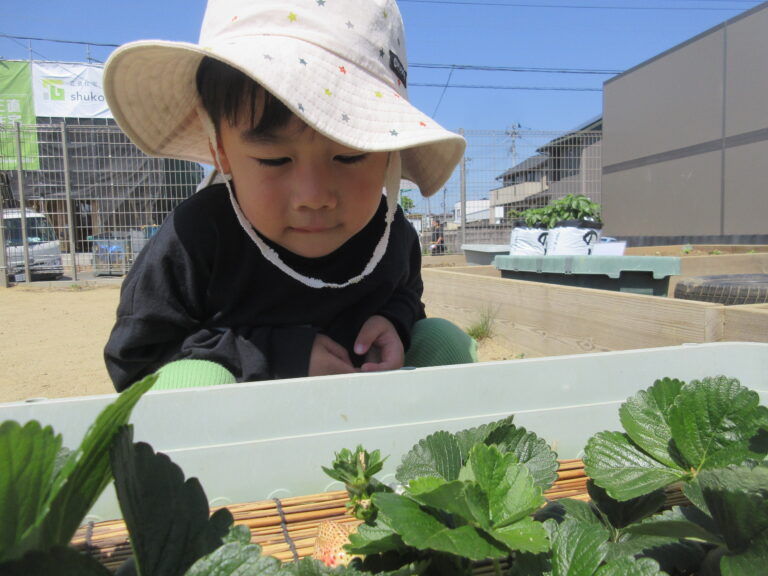 まだかなぁ…