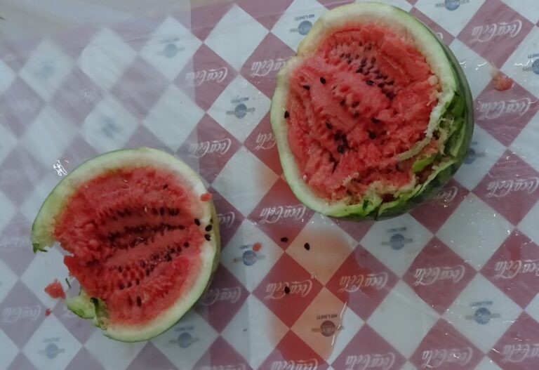 スイカ割りしてみたよ🍉