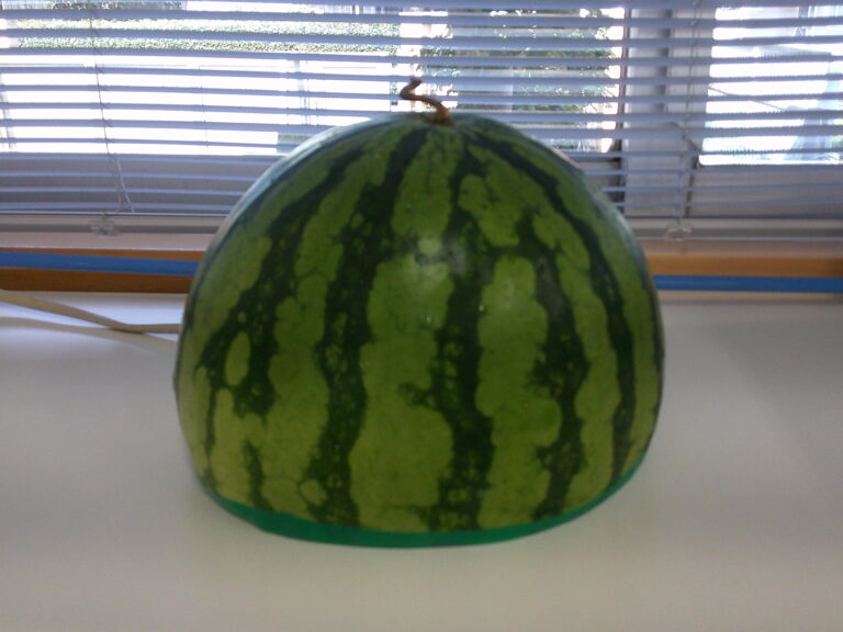すいかネタ③