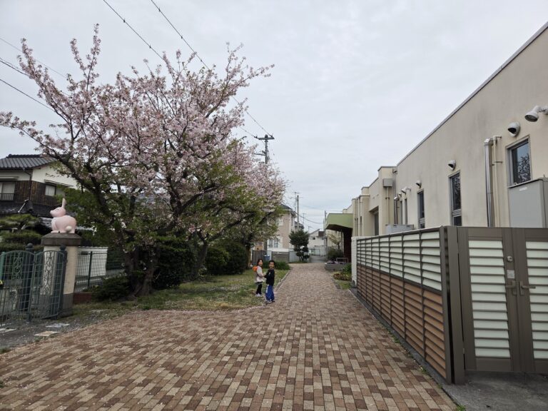 春、まっさかり🌸