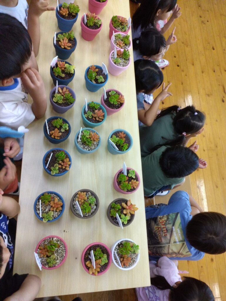 伊予農交流、多肉植物植え