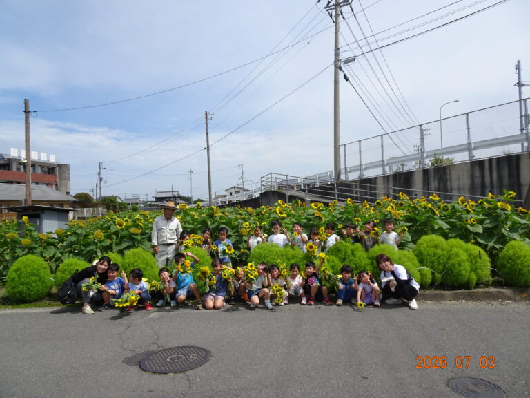 ひまわり畑に行きました🌻