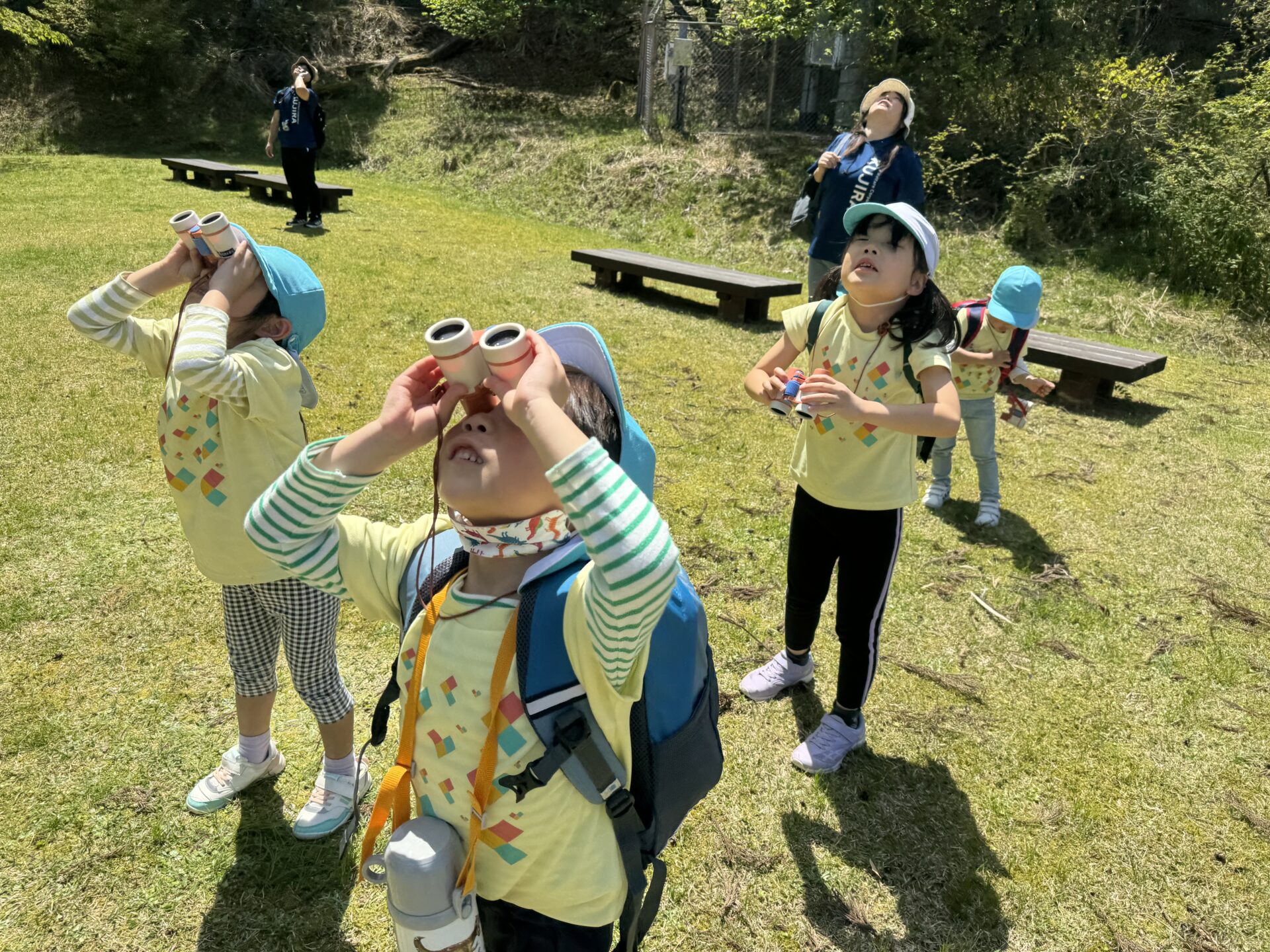 おもしろいことなんでもくじら級