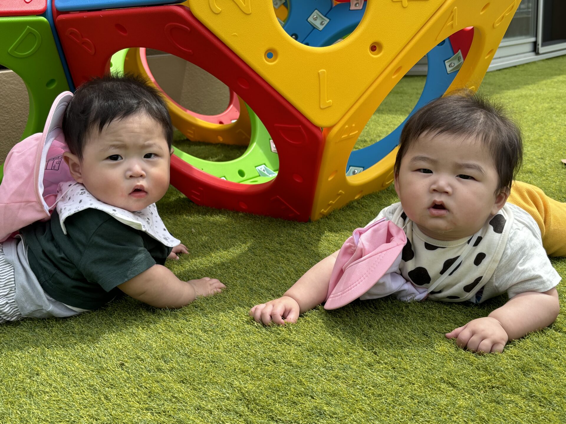 おもしろいことなんでもくじら級