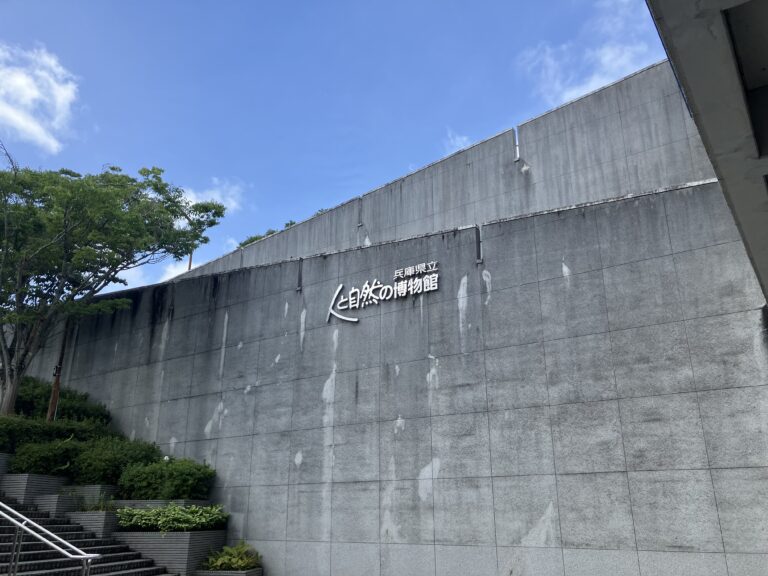 【夏のお出かけ】人と自然の博物館(ひとはく)