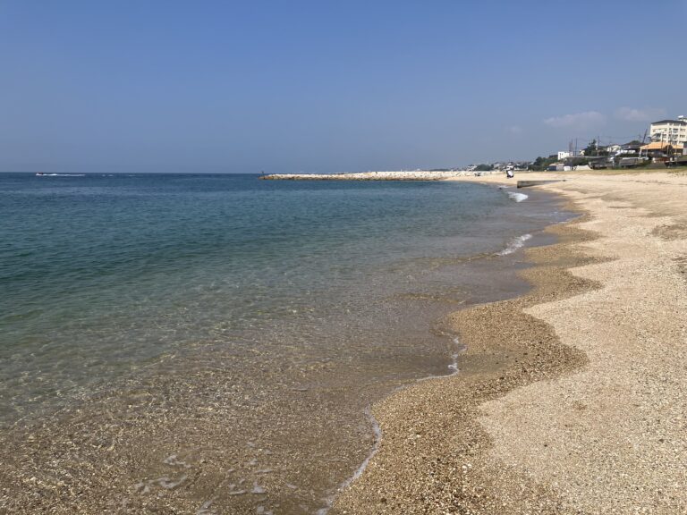 9月松江海岸（フィールドワーク）