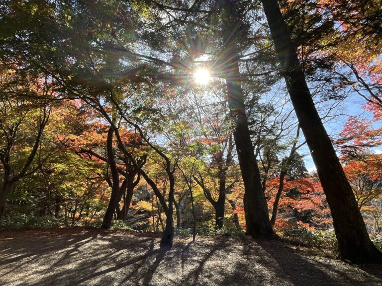 摩耶山掬星台・北野ノスタ