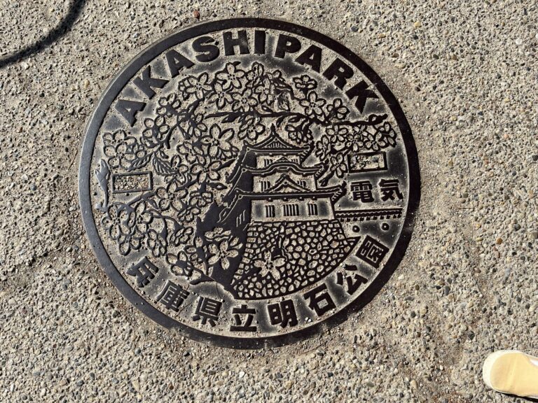 ヒマラヤスギのまつぼっくり