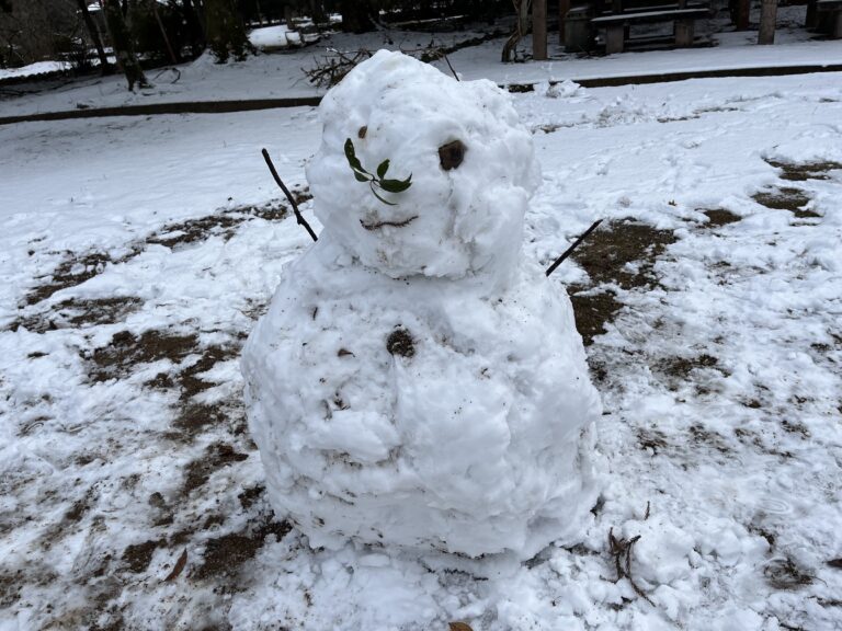 雪を求めて丹波市へ(薬草薬樹公園)