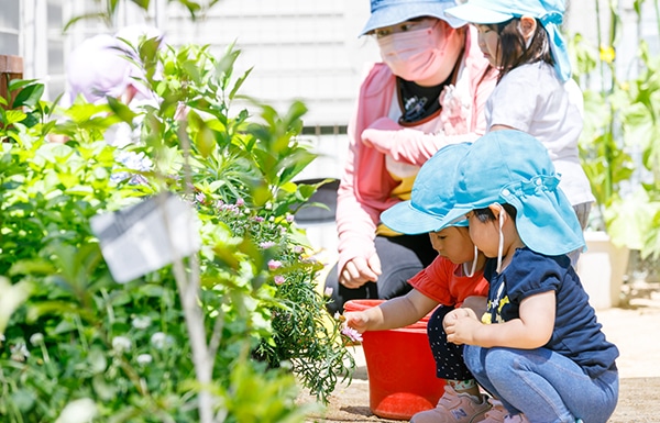 梅ノ木くじら保育園
