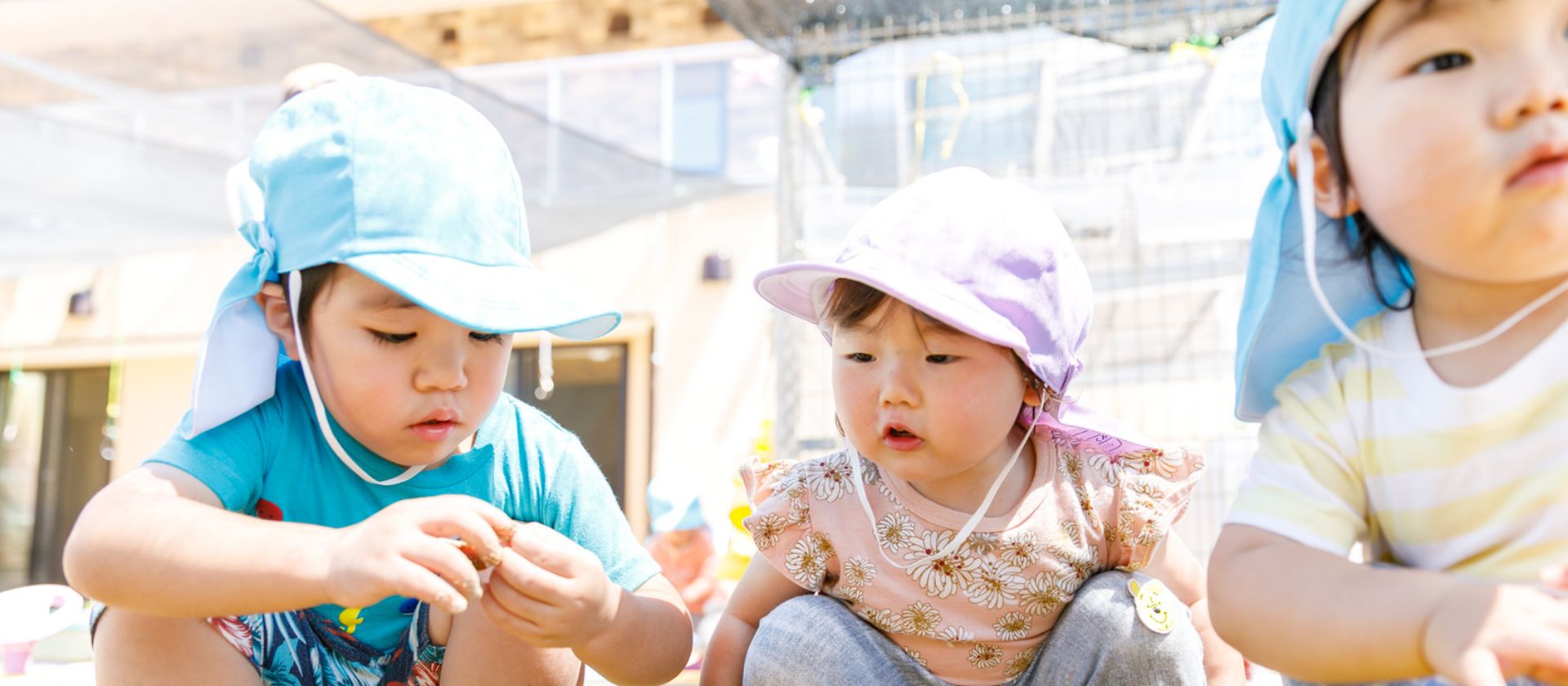 おもしろいことなんでもくじら級