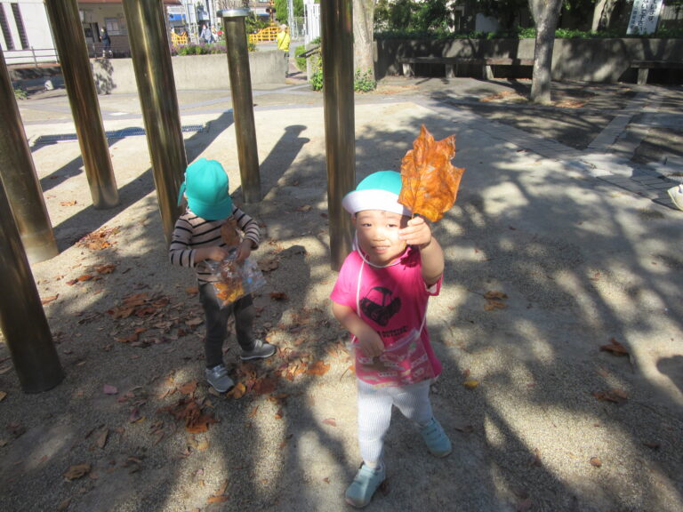 秋の自然がいっぱい!(2歳児)