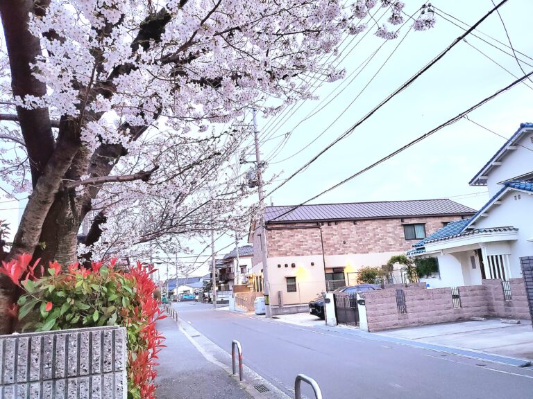 新しい一年の始まり♬