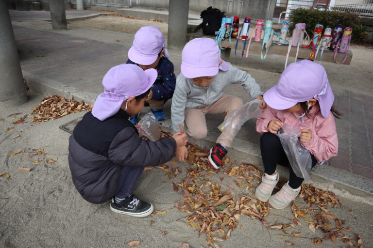 秋の自然に触れてきたよ！（4歳児）