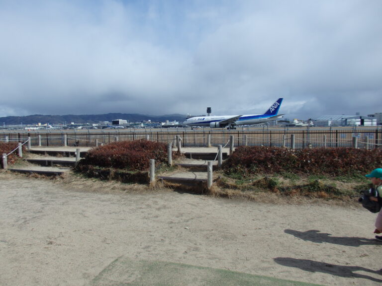 スカイパークに行きました✈️（3歳児）