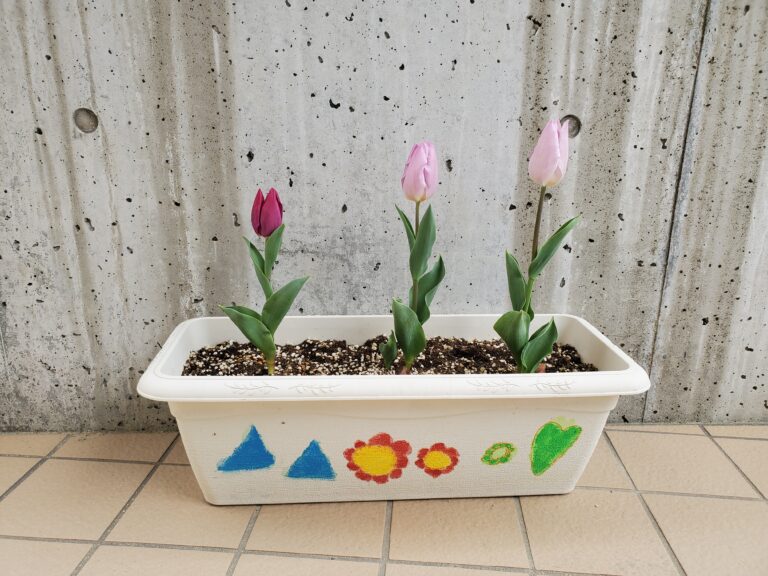 新しい一年の始まり🌸