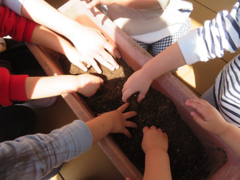 イチゴを育てよう（３歳児）