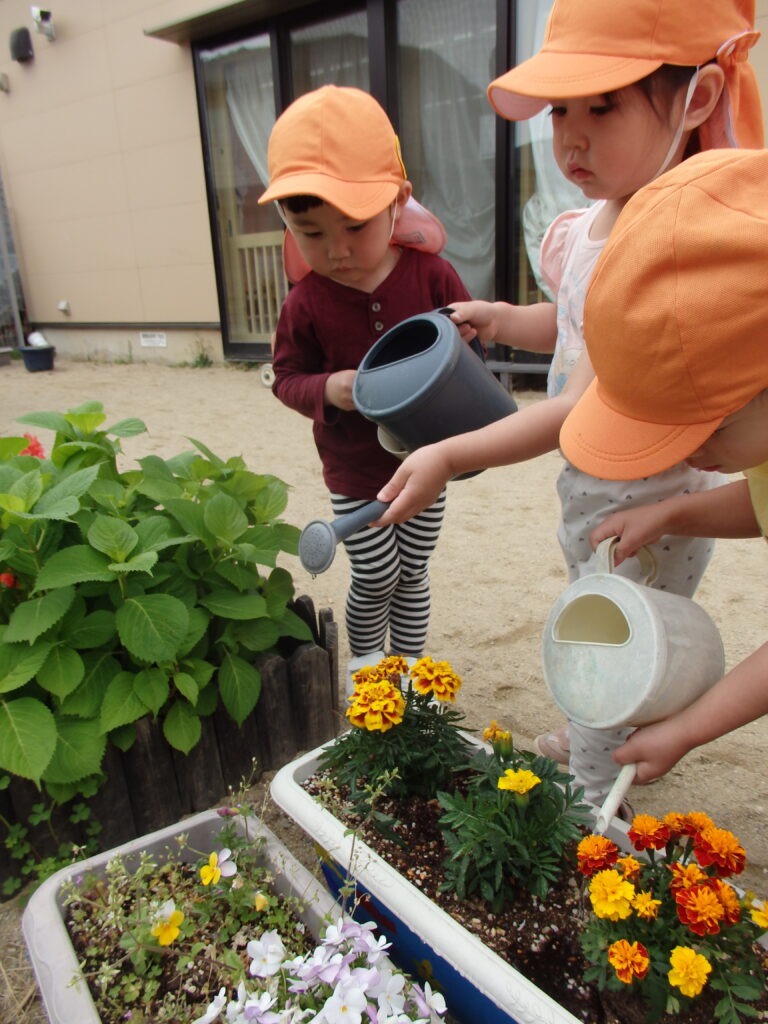 きれいなお花が咲きますように🌻（2歳児）
