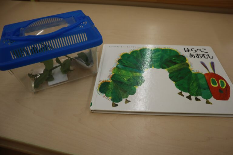 あおむし見つけた（1歳児）