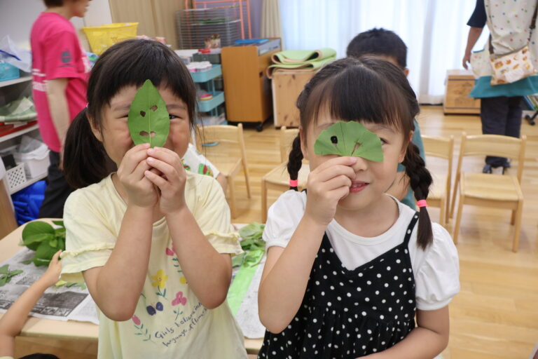 色々な木に触れてみよう！（5歳児）