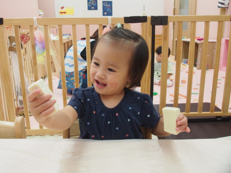 荒野豆腐触ってみた（0歳児）