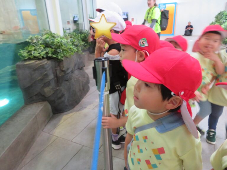 ニフレルへ遠足に行こう！③（３歳児）